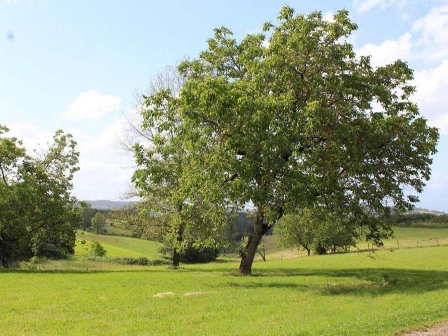 Marcillac-Saint-Quentin Domaine De Pech Mortier B&B 외부 사진